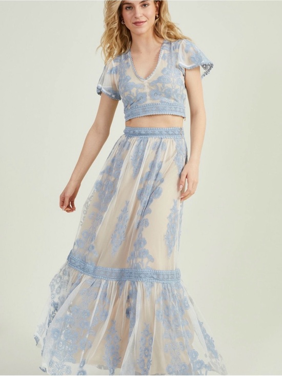 Altar'd State Dresses & Skirts - Altar'd State Pale Blue Embroidered Maxi Skirt size 6